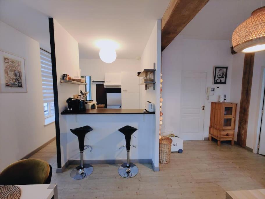 Appartement Lumineux Et Calme Parking Gratuit Lille Exterior foto